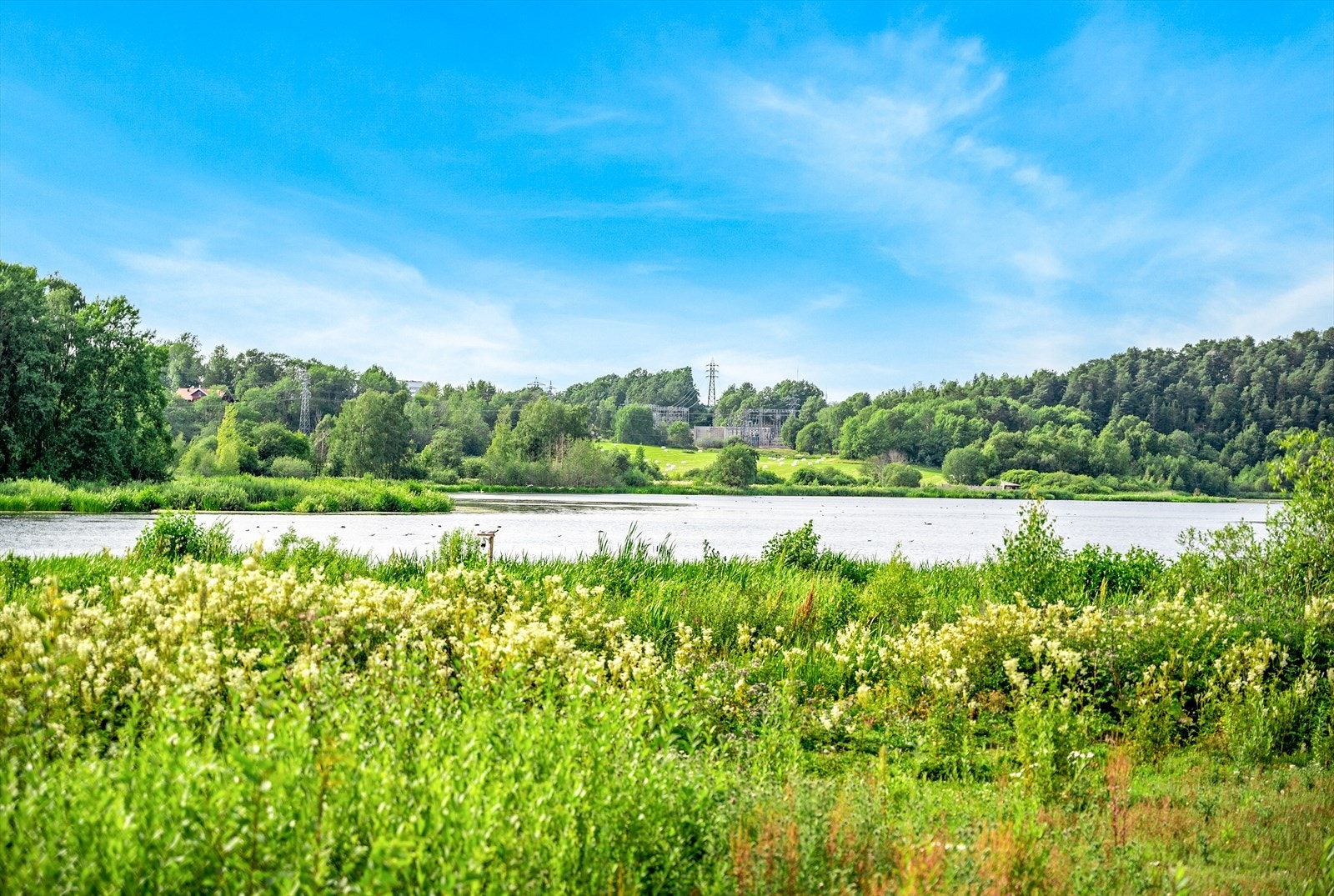 Østensjøvannet har også nydelige turmuligheter. Galleribilde