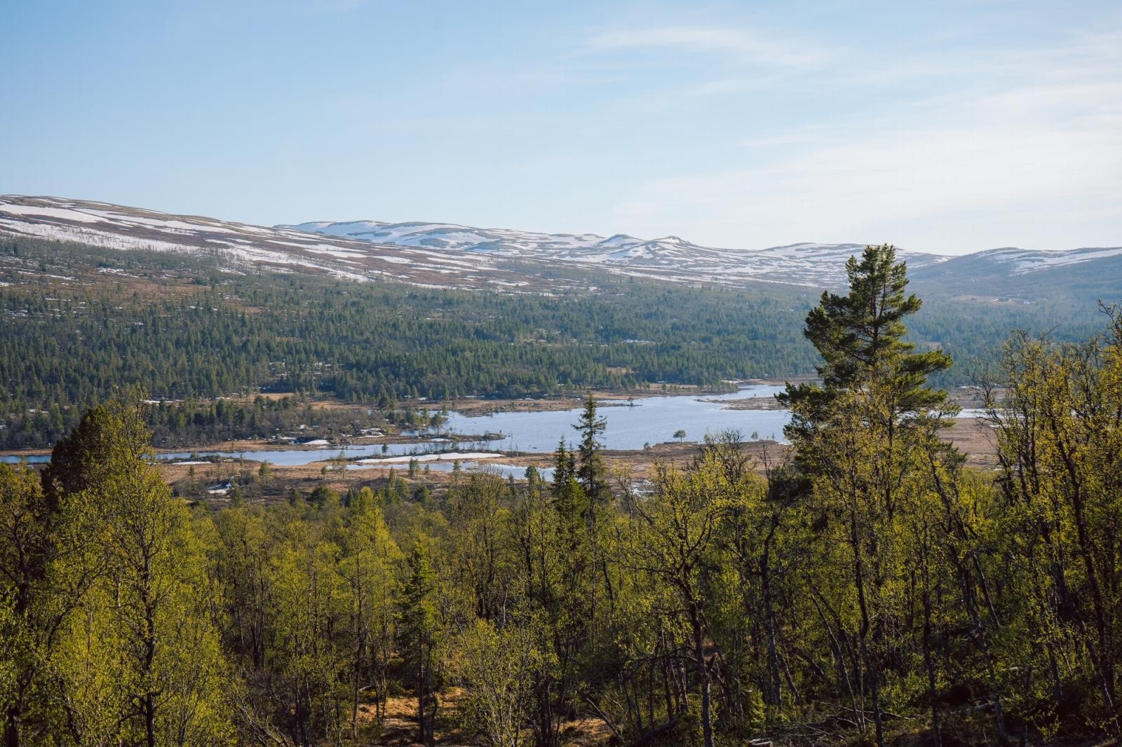 Flott sommerutsikt mot vann og vidde Galleribilde