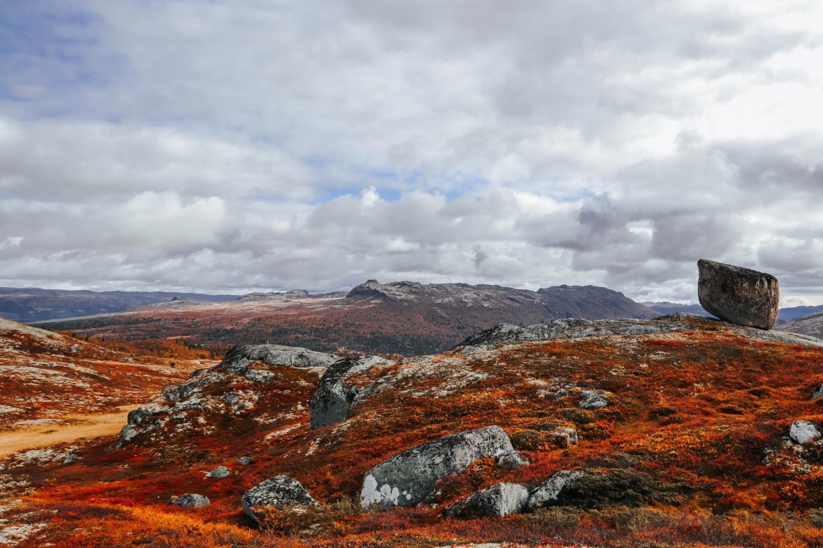 Nærområdet Galleribilde