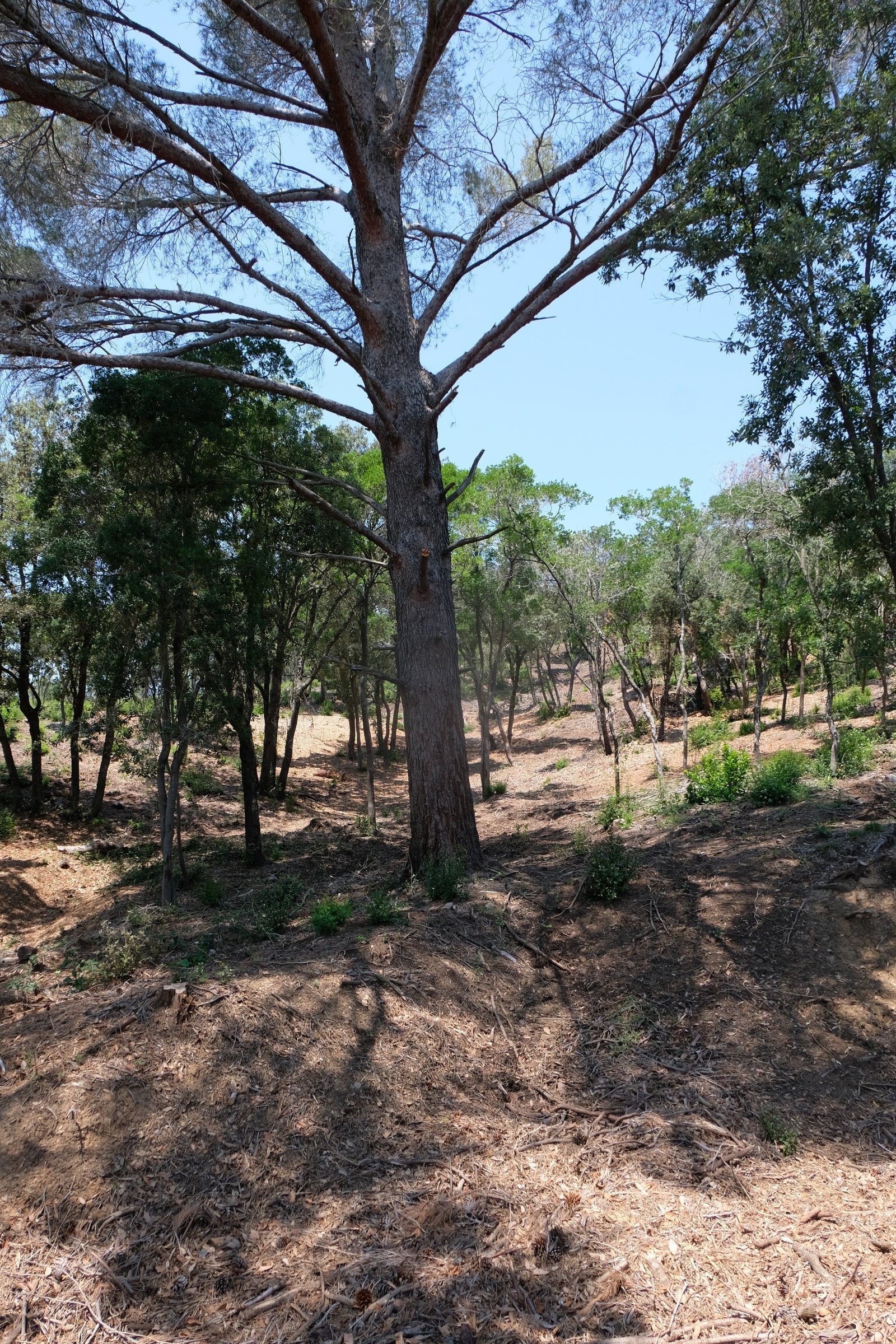 Utsikt til de 2 bakerste soverommene. Galleribilde