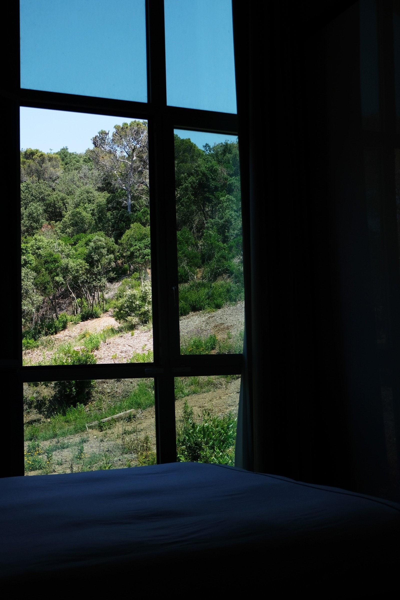 Store glassflater lar naturen slippe inn i rommet. Galleribilde