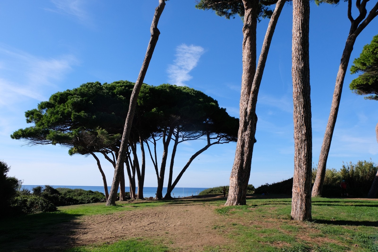 Toscanakysten Galleribilde