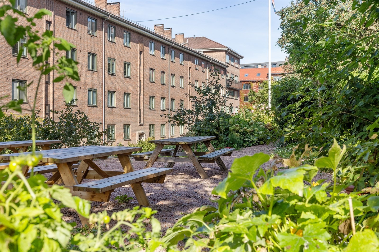 Hyggelig naboskap i et veldrevet og trygt borettslag. Galleribilde