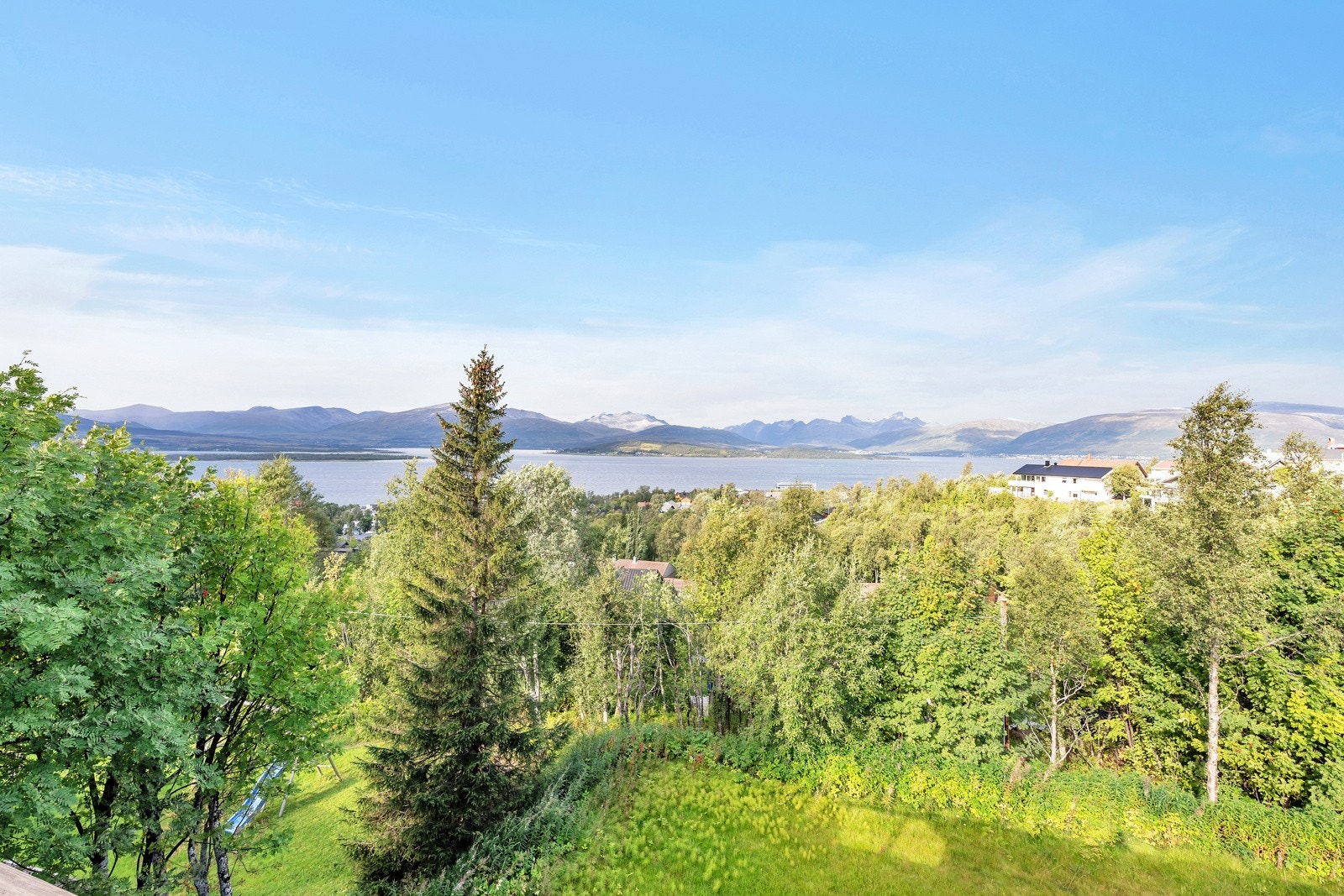 Flott utsikt mot vest Galleribilde