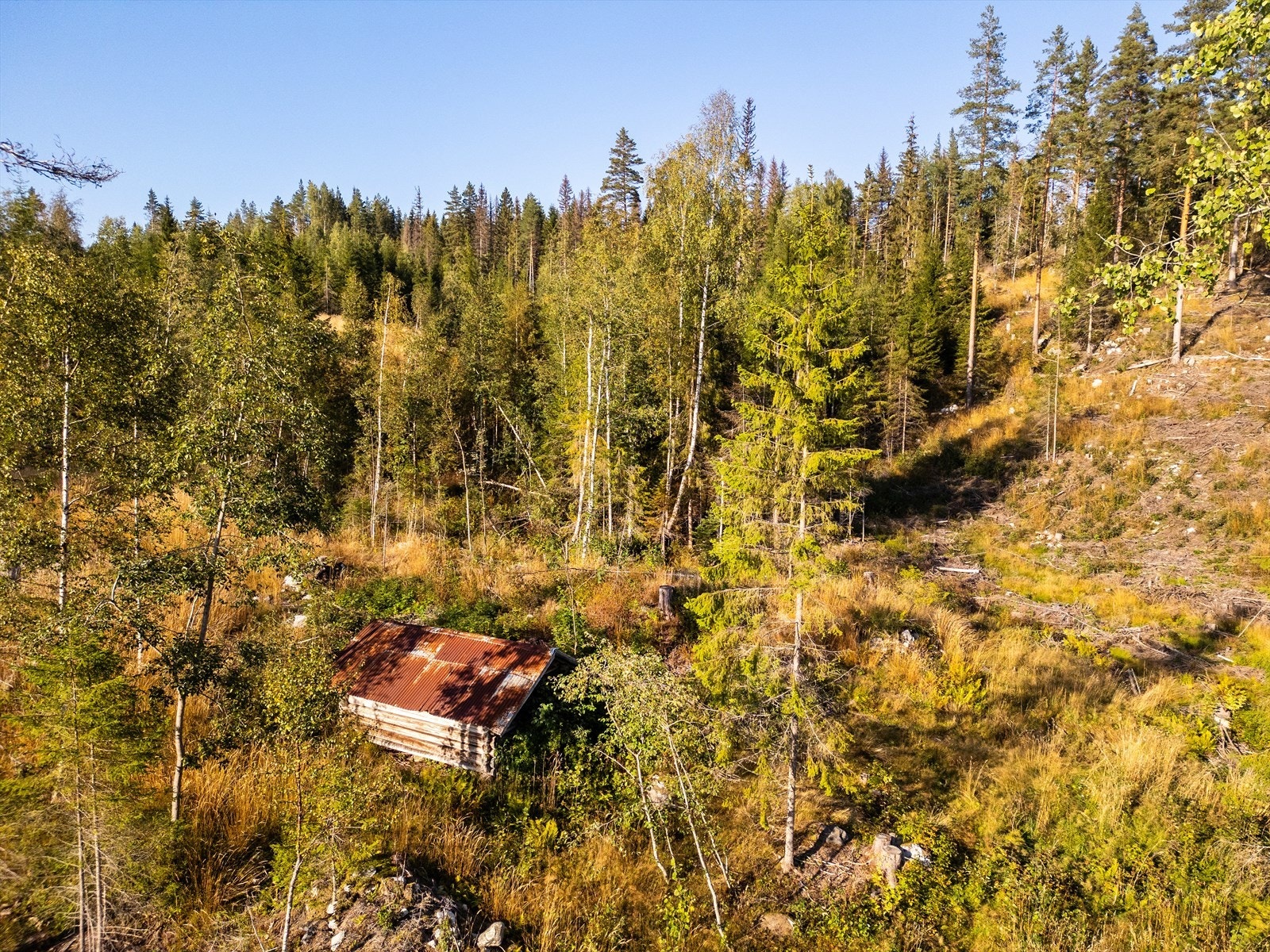 Flere bygninger på eiendommen Galleribilde