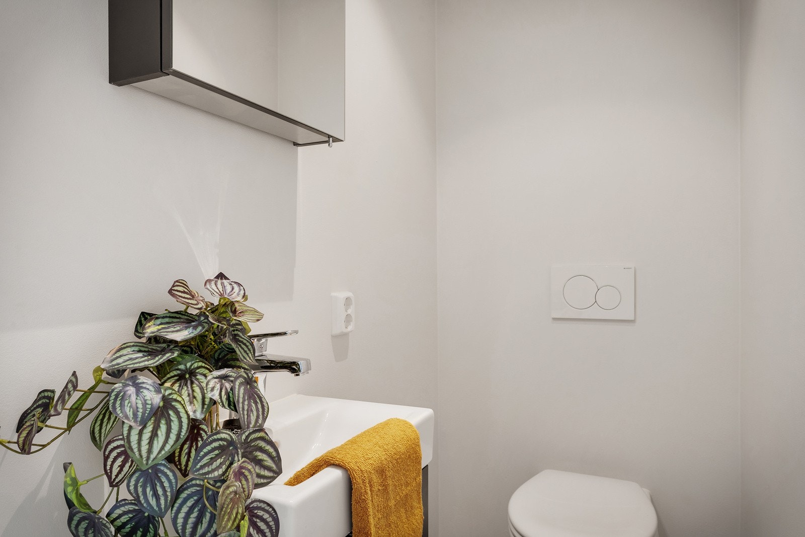 Gjestetoalett. Galleribilde