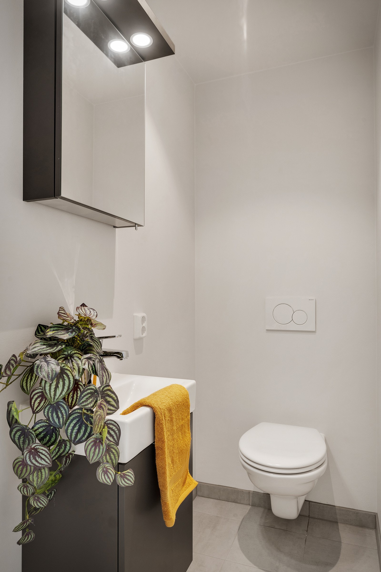 Gjestetoalett. Galleribilde