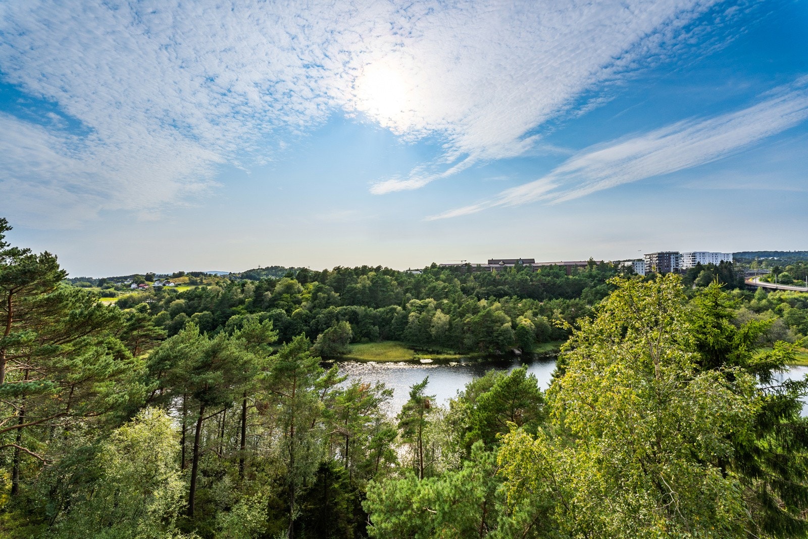 Utsikt. Galleribilde