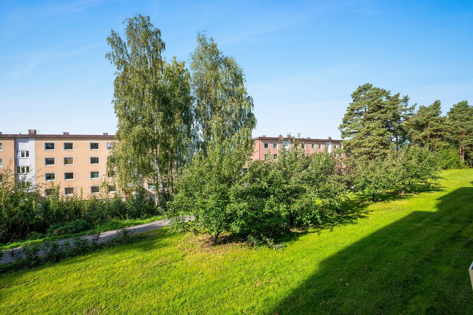 Hyggelig utsyn mot borettslagets frodige fellesarealer. Galleribilde