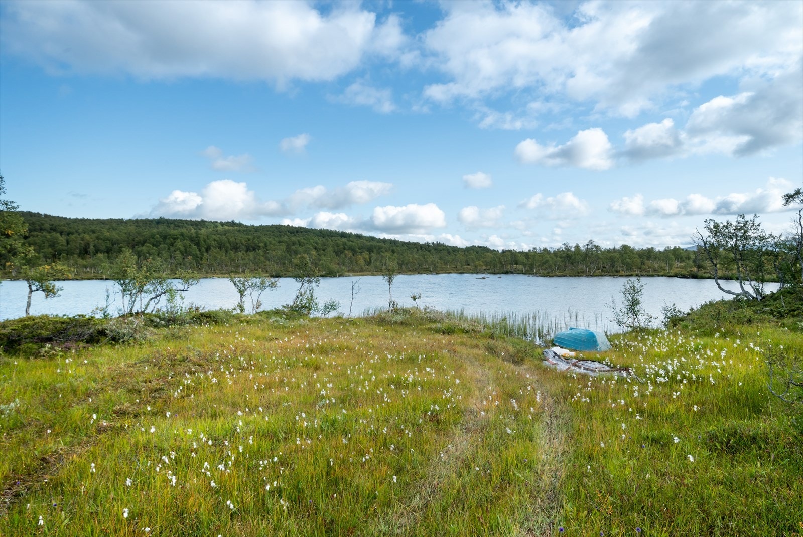 Vannet Langen ligger like ved Galleribilde