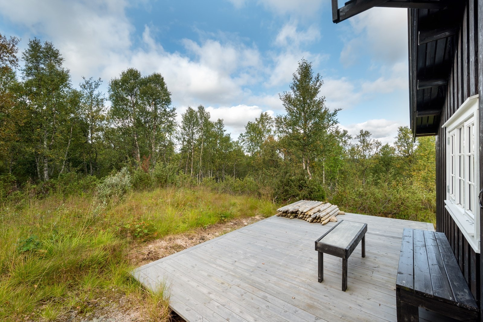 Terrasse Galleribilde
