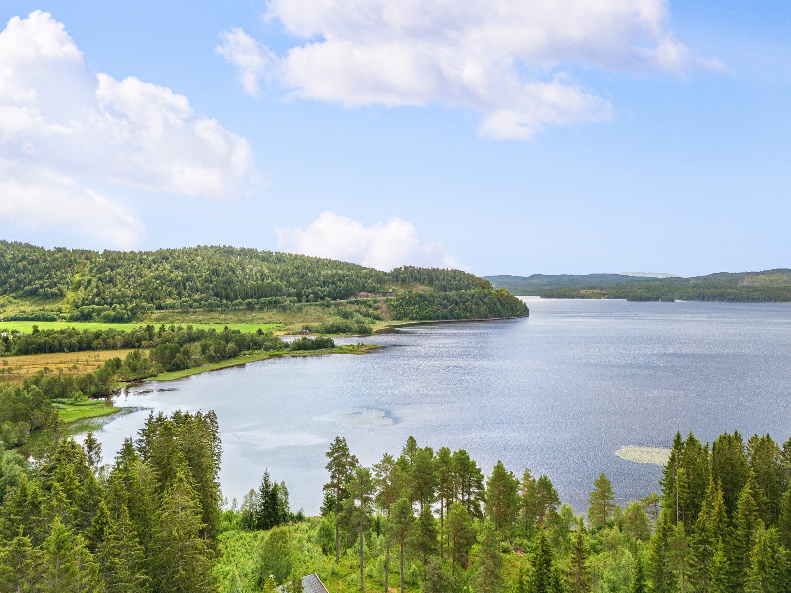 Nærmiljø - Gangåsvatnet Galleribilde