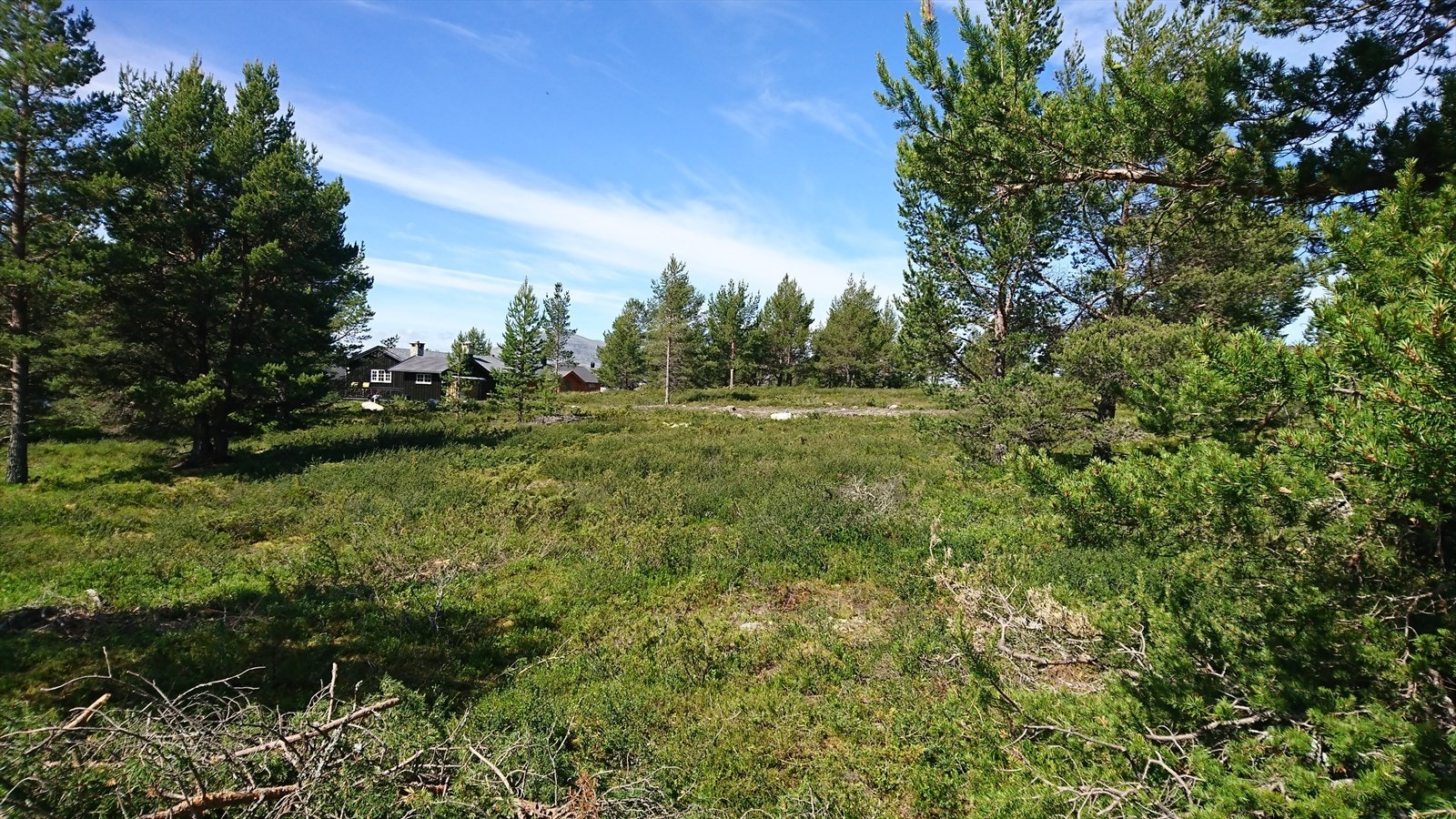 Bilde fra tomten, nærliggende hytter i bakgrunnen. Galleribilde