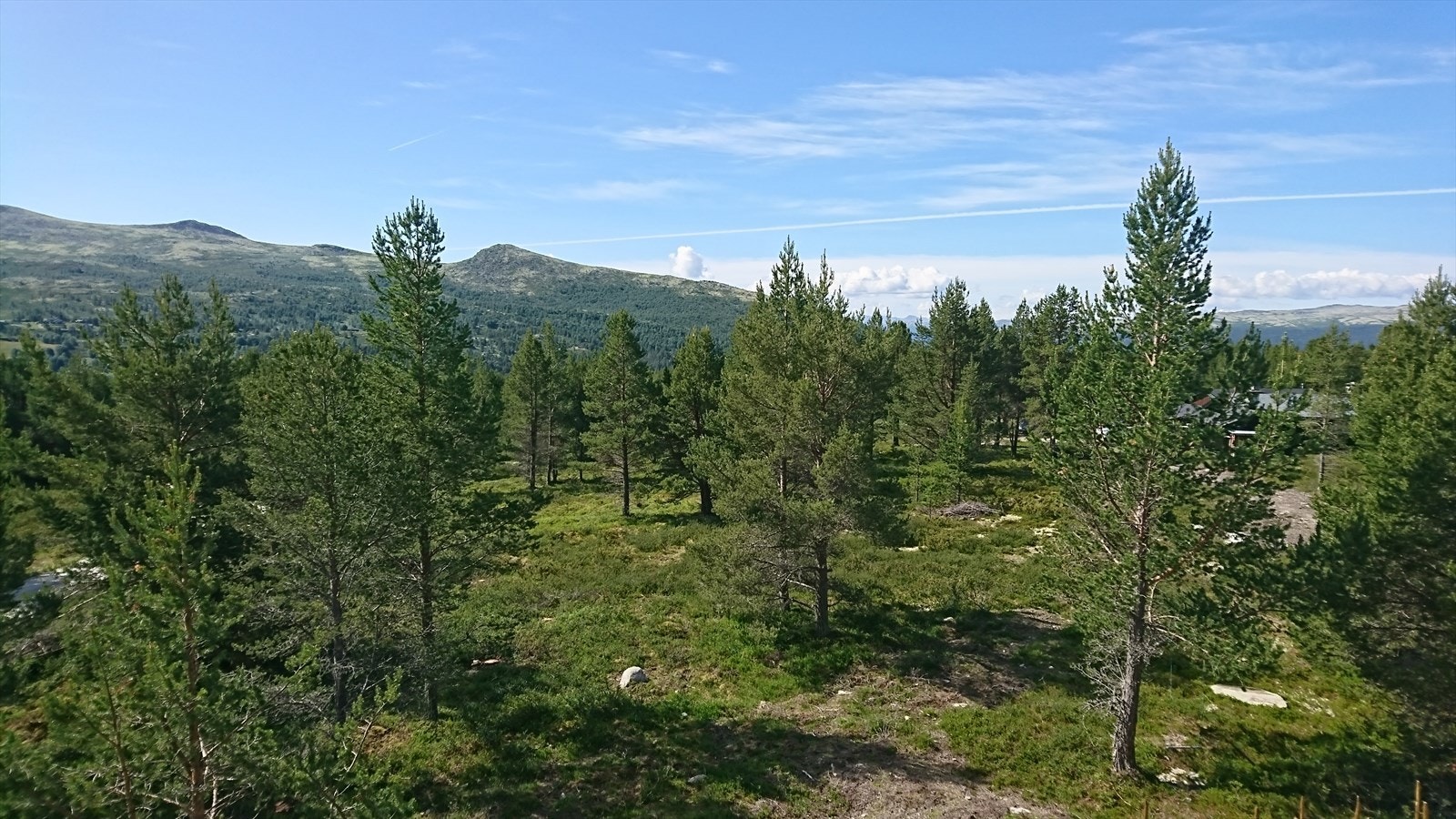 Bilde av tomten. Galleribilde