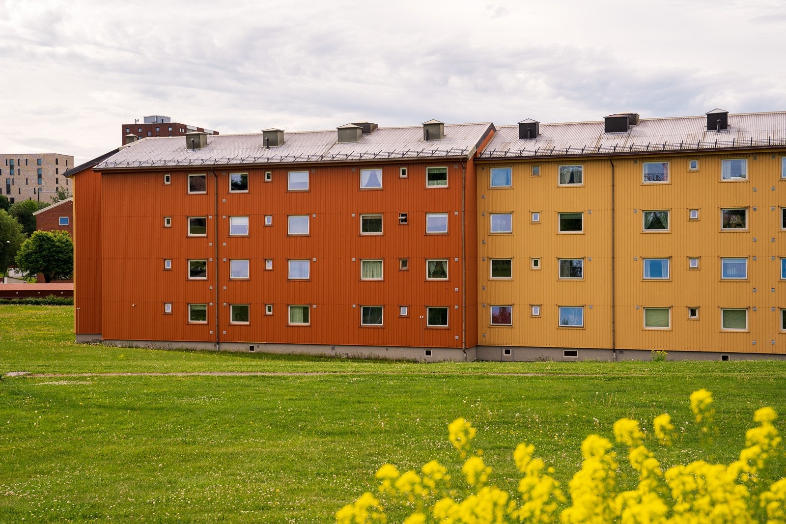 Fasade bakside. Galleribilde