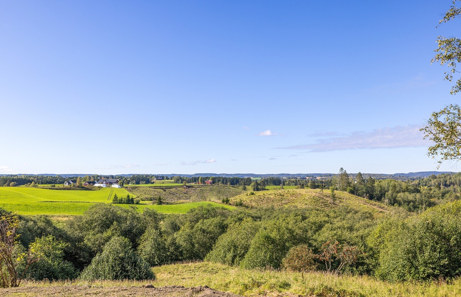 Småbruket ligger landlig til i naturskjønne omgivelser med naturen som nærmeste nabo. Galleribilde