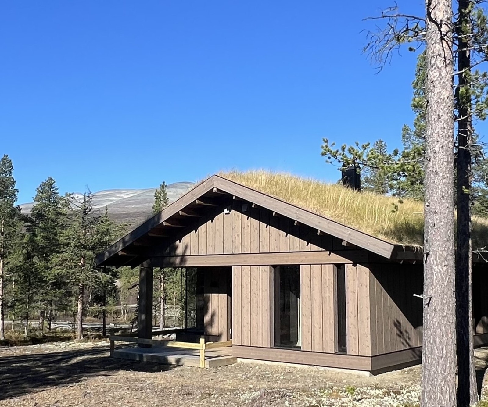 Flott utsikt mot Nautgardsmassivet fra tomta. Galleribilde