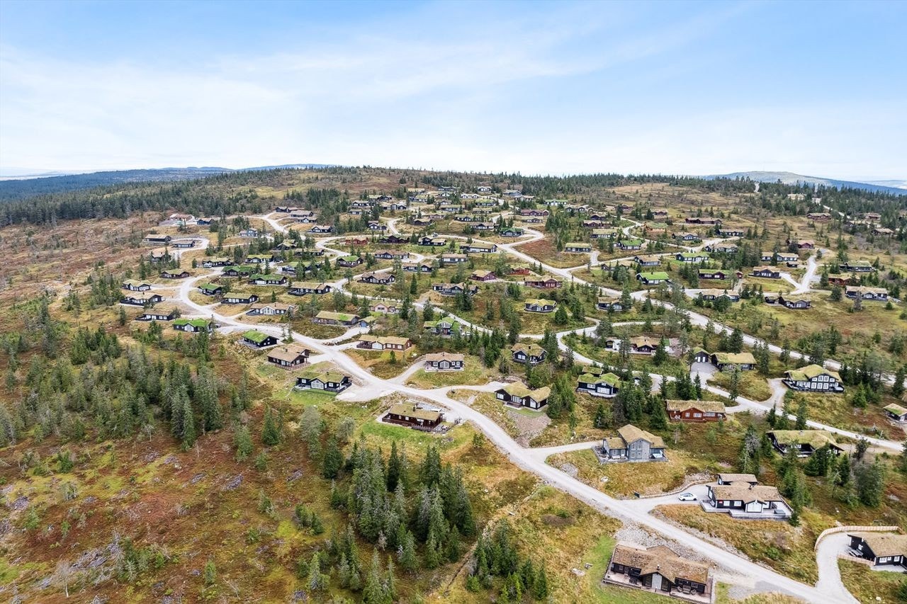 Dronebilde Galleribilde