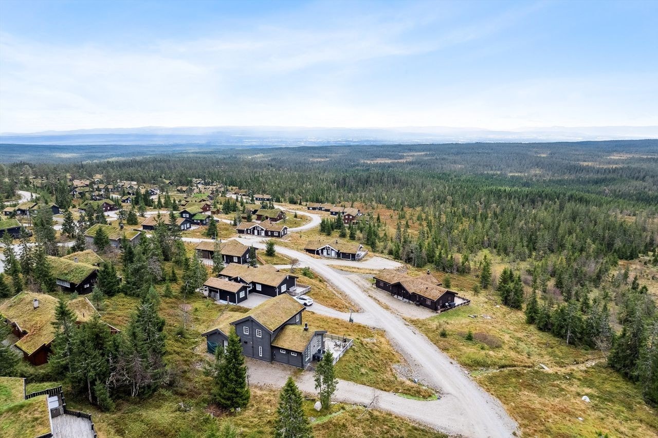 Dronebilde Galleribilde