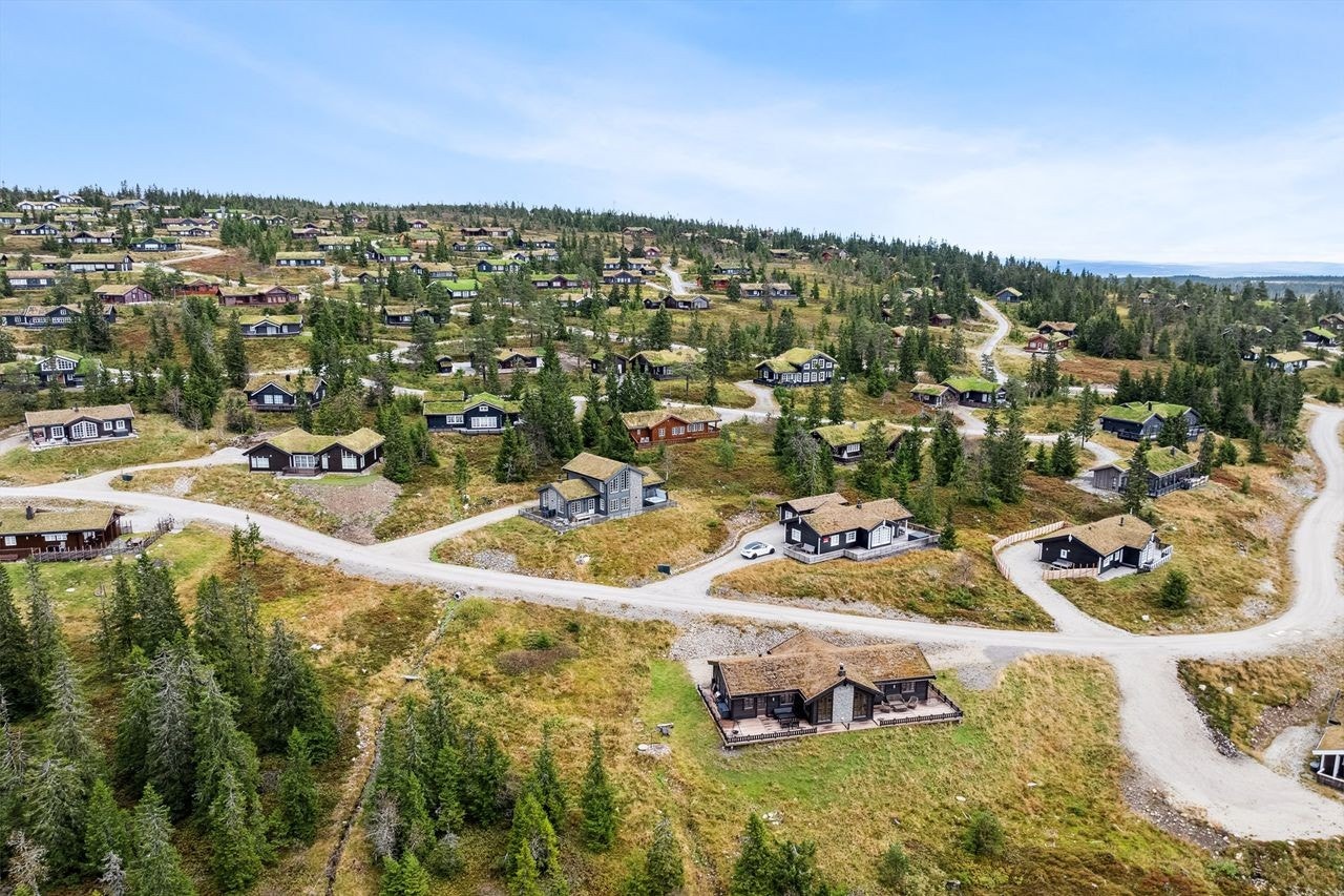 Dronebilde Galleribilde