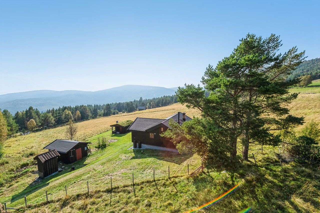 Fint uteområde hvor man kan nyte friheten på hytta. Vinterbrøytet vei og flott turterreng både sommer og vinter. Galleribilde