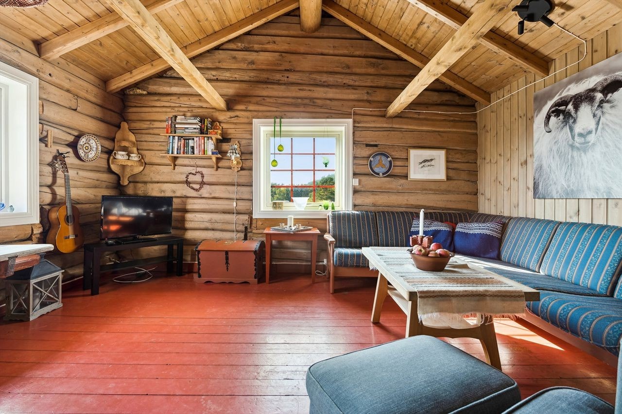 Stue i tradisjonell hyttestil. Galleribilde
