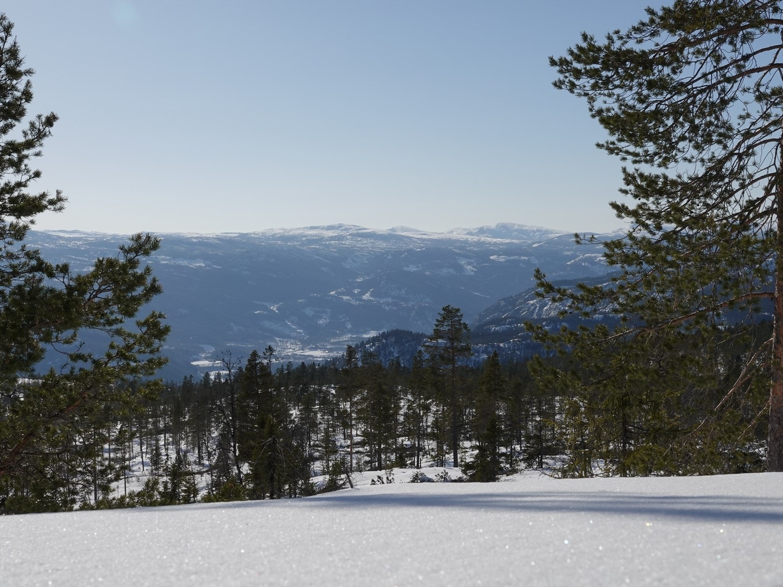 objpict_4501125832550_0.jpeg Galleribilde