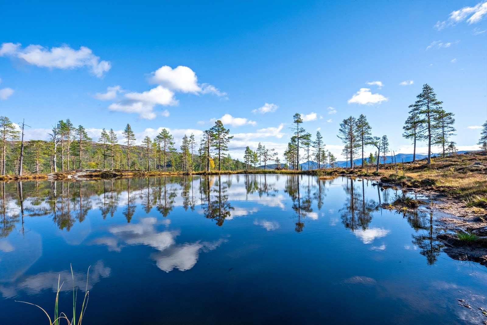 objpict_4492535848347_0.jpeg Galleribilde