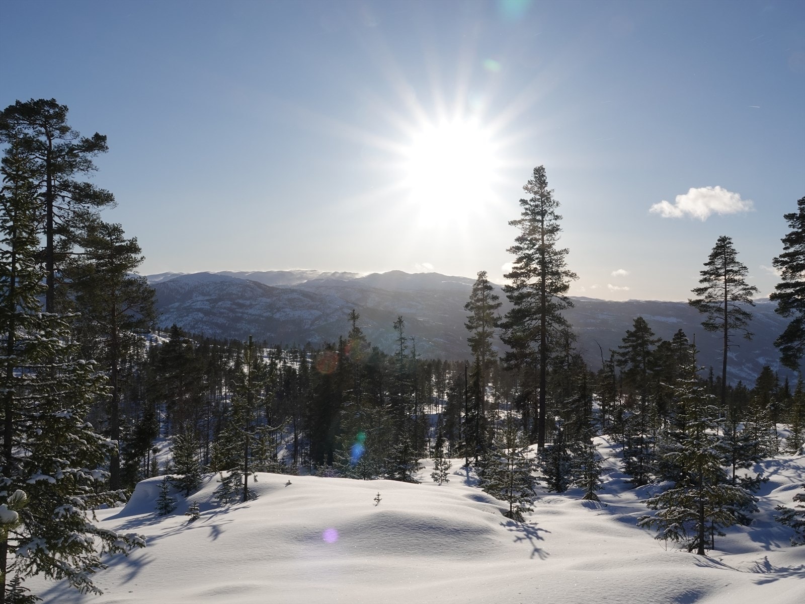 Solrikt beliggende med utsikt mot sør/vest Galleribilde