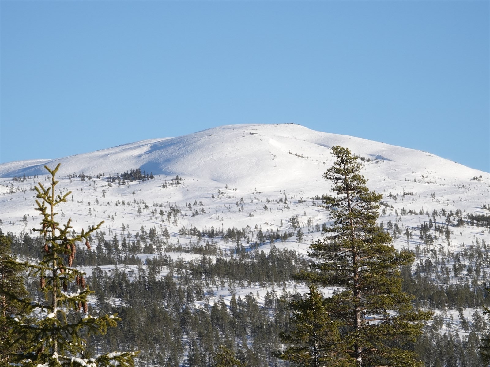 Kristnatten planlegges det alpinanlegg, les mer om det på hjemmesiden til Turufjell Galleribilde