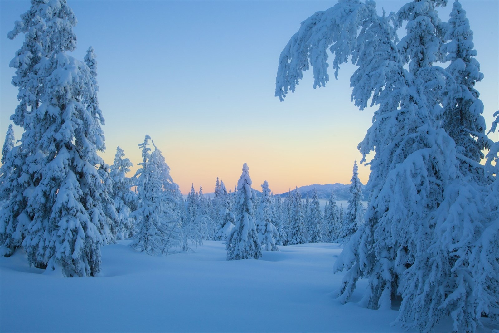 objpict_4492535848368_0.jpeg Galleribilde