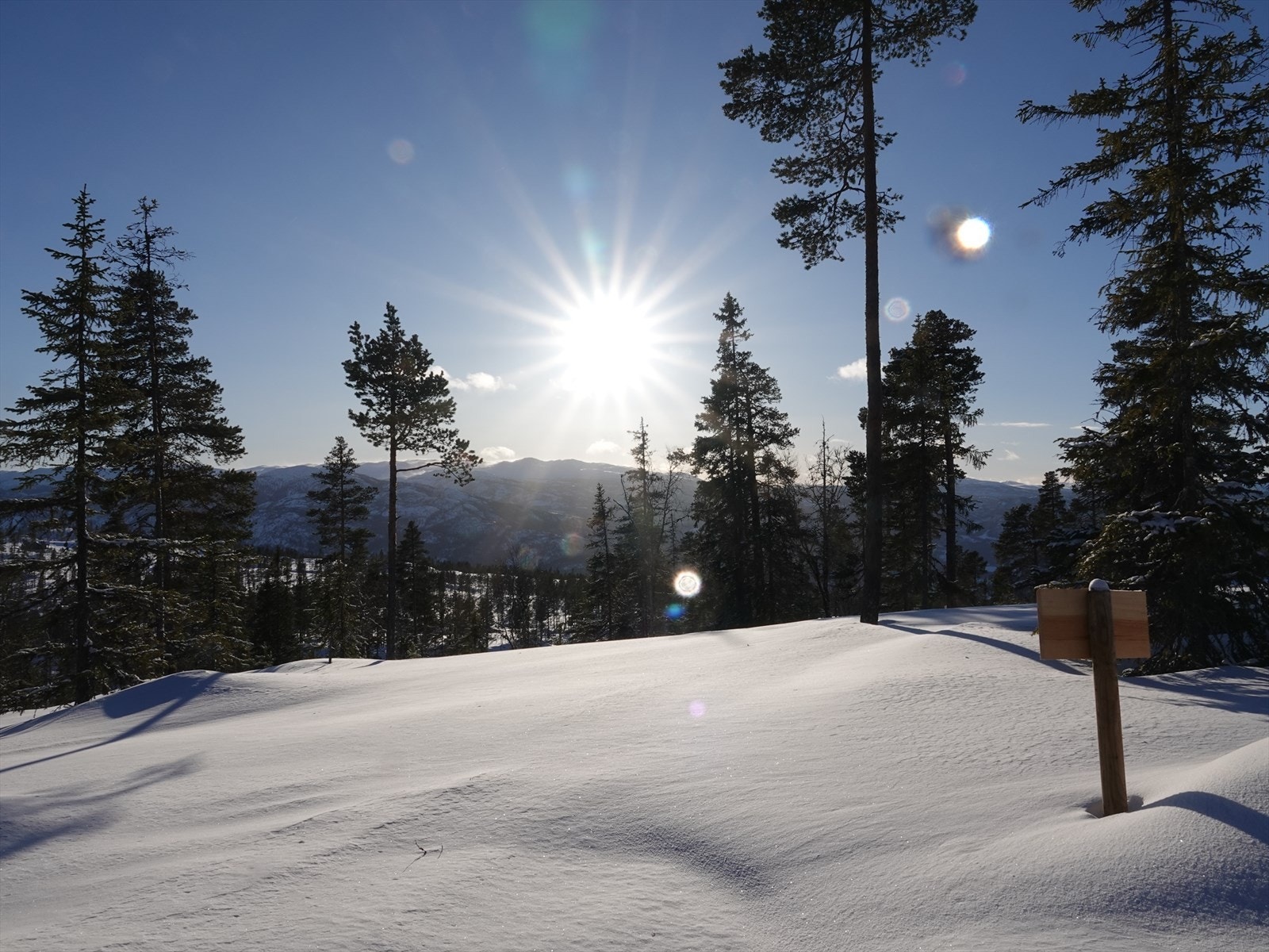 Sol hele dagen Galleribilde