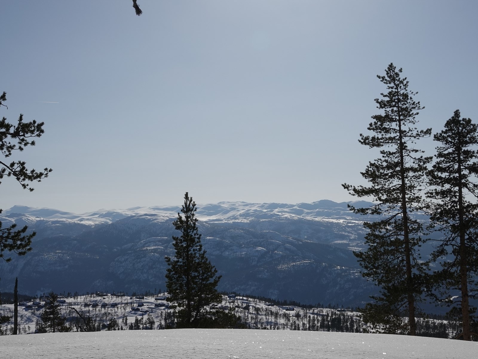 objpict_4501125832539_0.jpeg Galleribilde