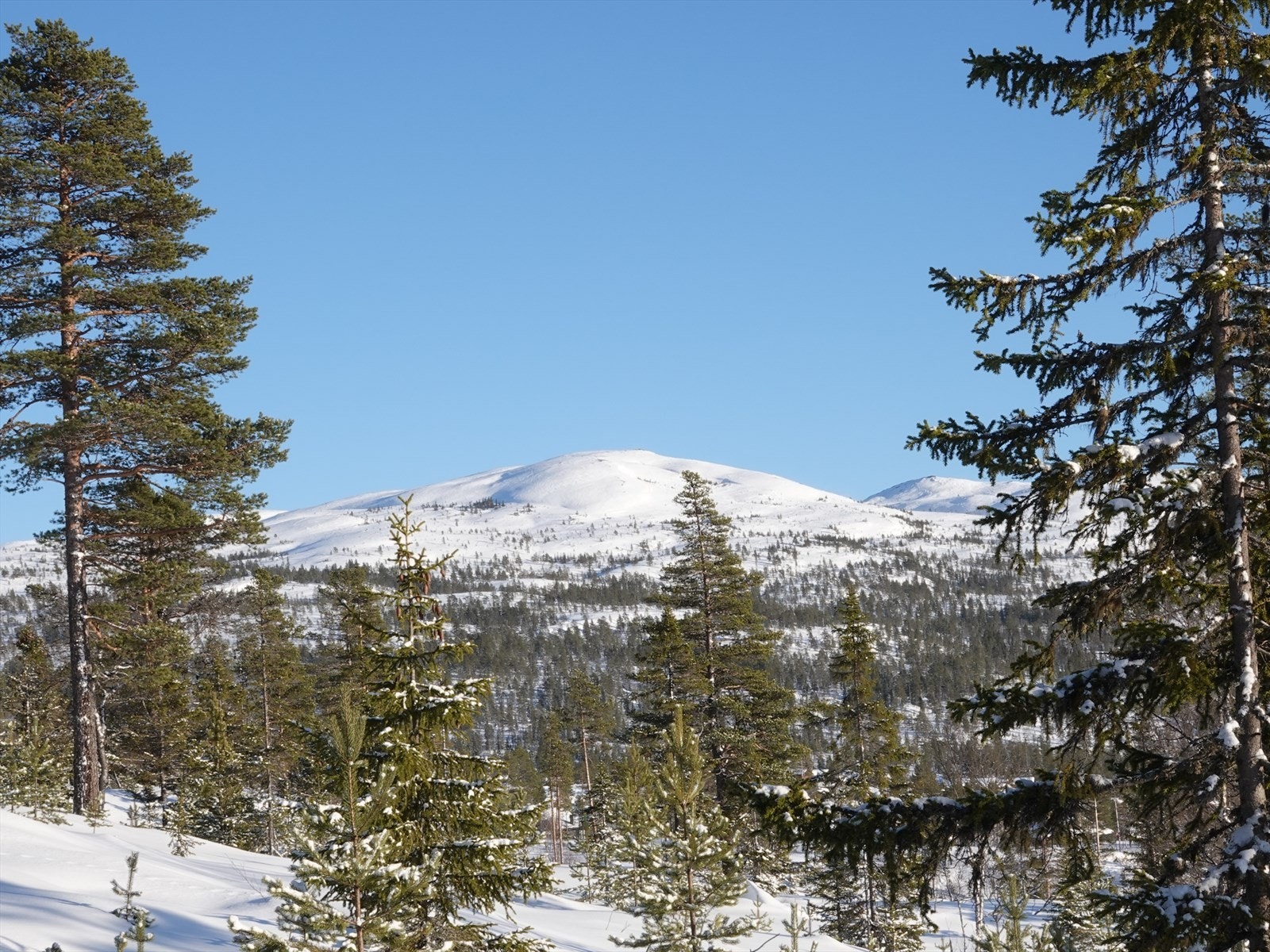 Utsikt opp til Kristnatten Galleribilde
