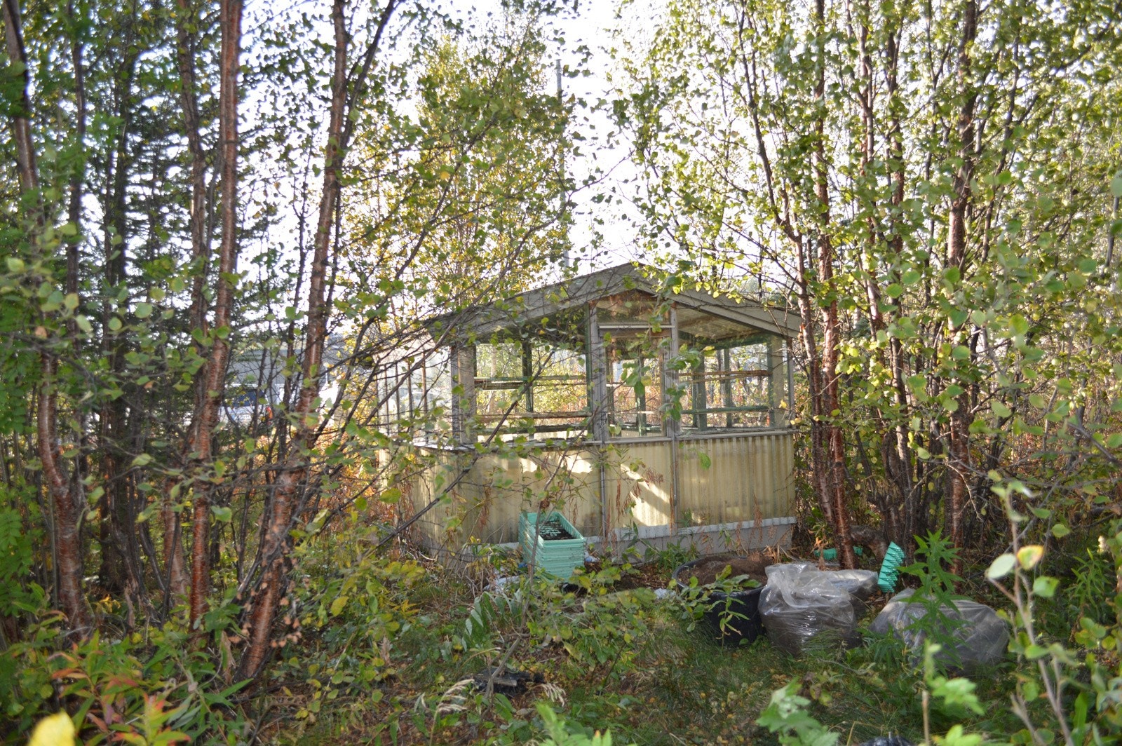 Et gammelt drivhus Galleribilde