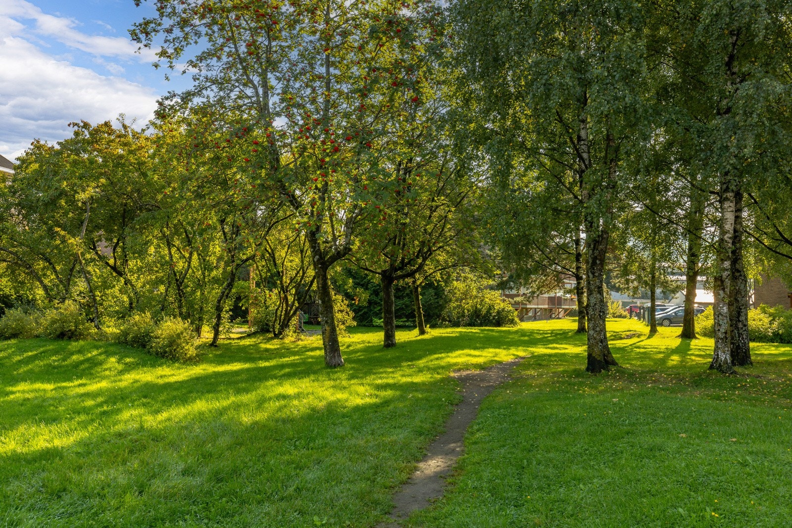 IMG_1883 Galleribilde