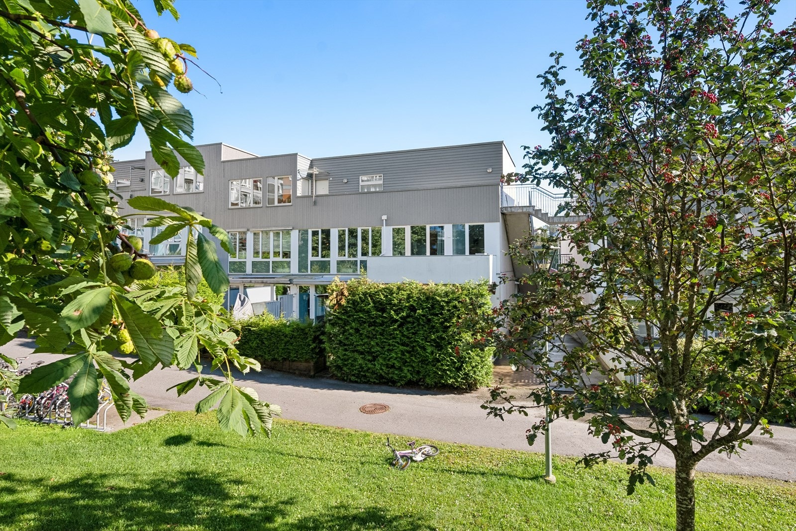 Sameiets parklignende bakgård er en oase for store og små, med sine bruksplener og flotte beplantning. Galleribilde