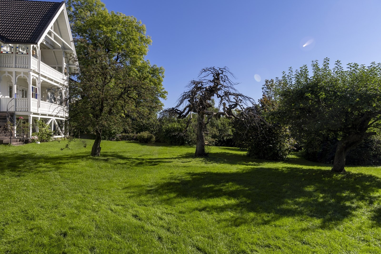 I hagen er det også frukttrær med epler og plommer. Galleribilde
