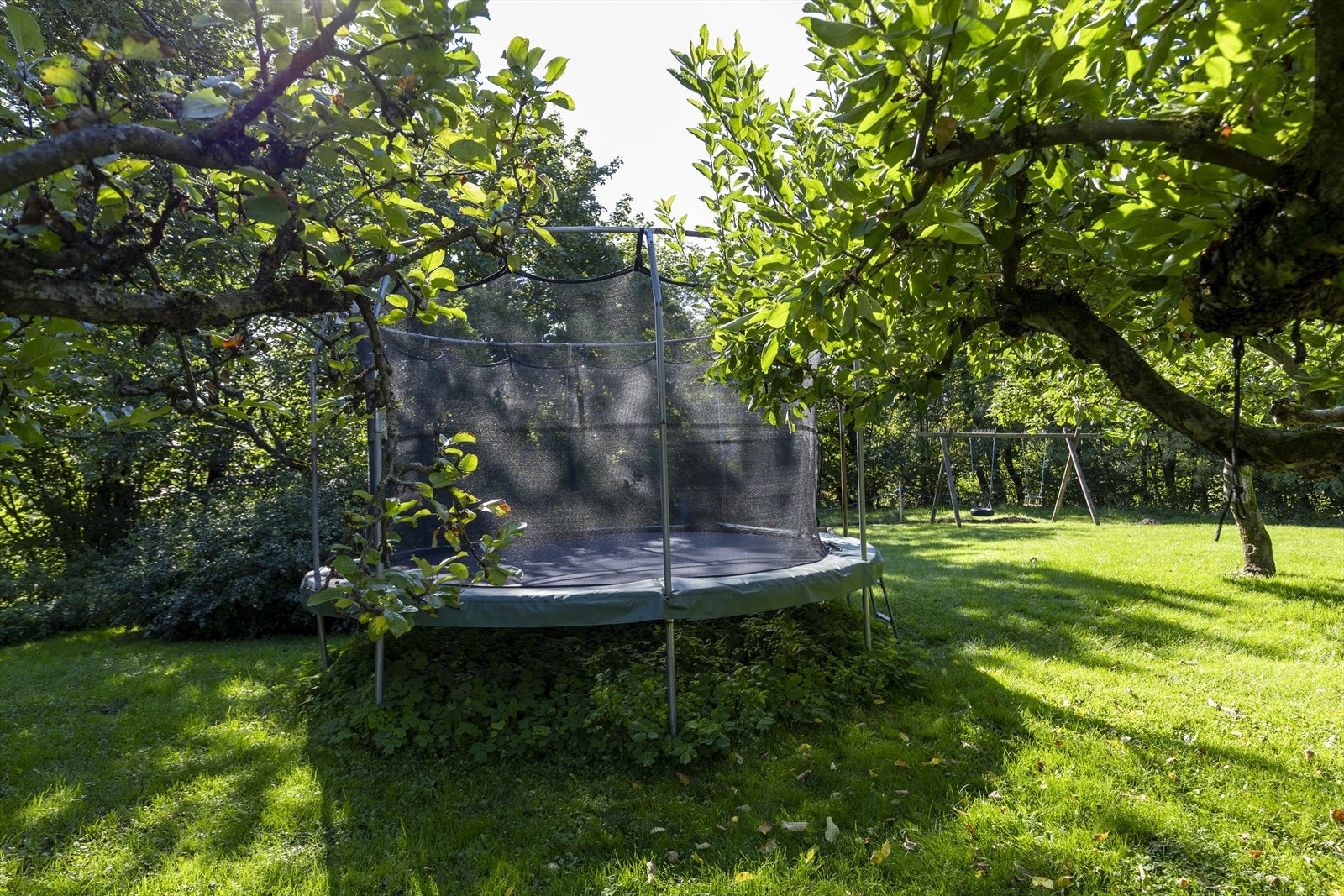Det står en felles trampoline på tomten. Galleribilde