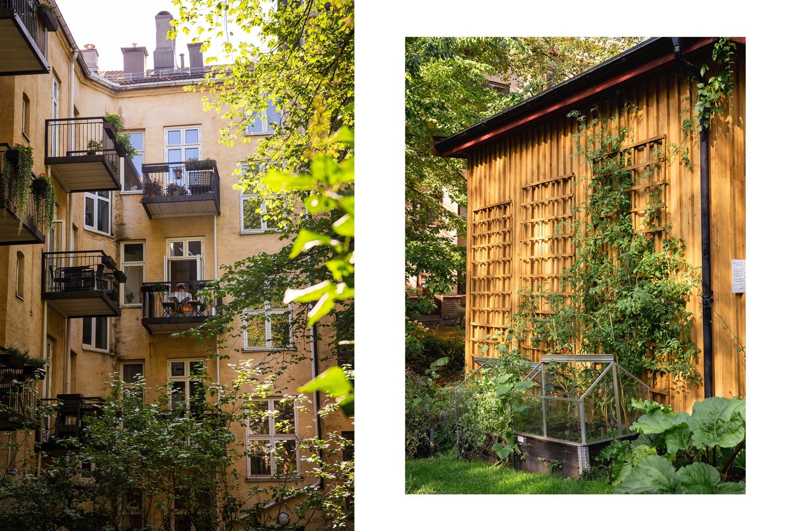 Fasade fra bakgård og fellesområder med dyrkingsmuligheter. Borettslagets grøntgruppe tar gledelig imot andre planteentusiaster! Galleribilde