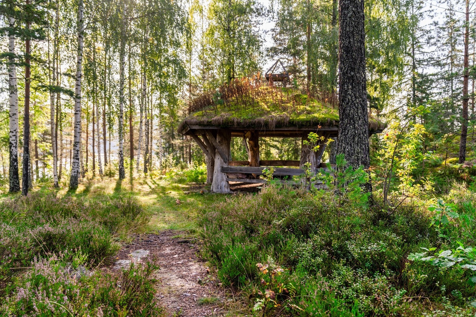 Naturen i området har med andre ord mye å by på for en friluftsglad eier av fritidseiendommen - og området er perfekt for den aktive som liker å ferdes i naturen, samtidig som en kan nyte fred og ro i hytta. Galleribilde