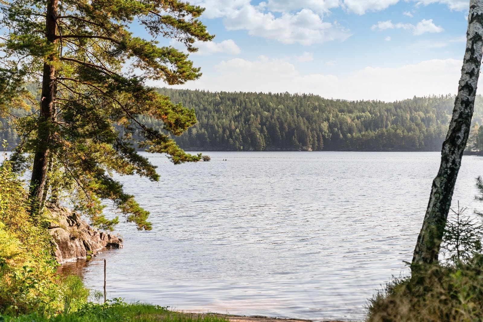 Eiendommen har nærhet til innsjøen Toke i Drangedal, med nærhet til både "fjord og fjell" Galleribilde