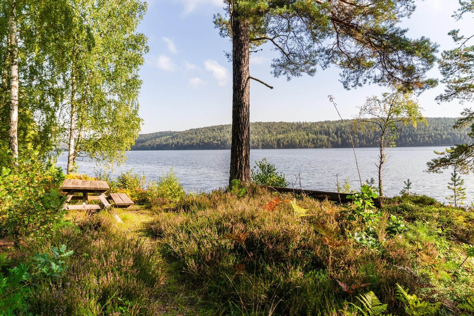 Nærområde Galleribilde