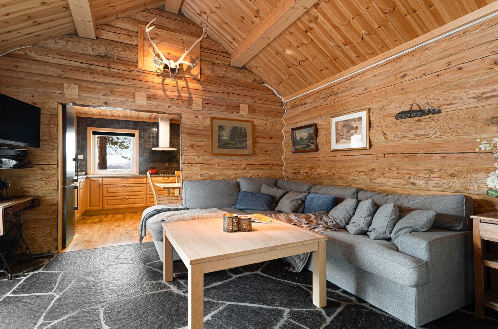 Koselig stue ved andre enden av kjøkkenet. Galleribilde