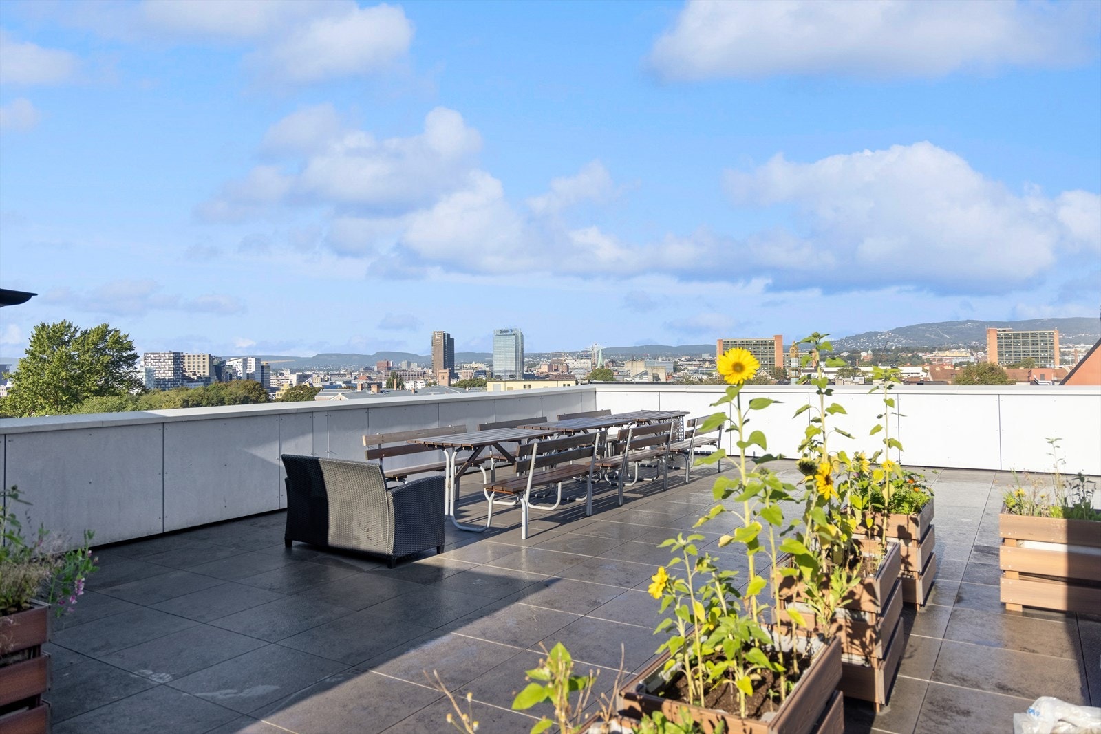 Felles takterrasse med fantastisk utsikt utover byen! Galleribilde