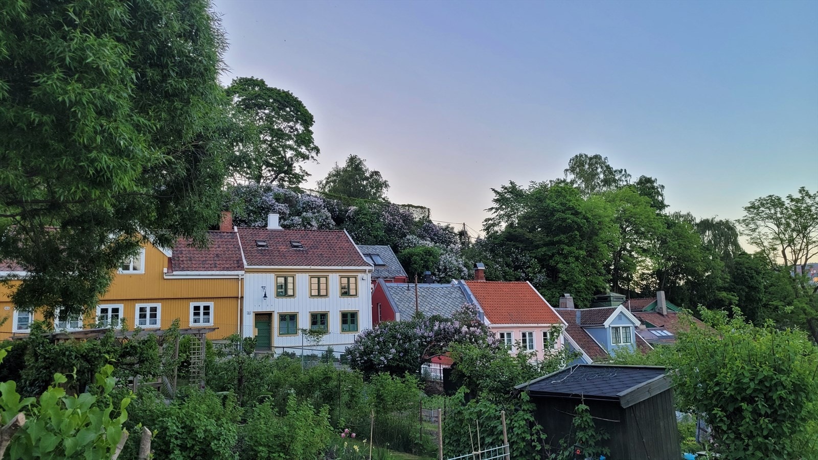 Hyggelige Telthusbakken ligger i umiddelbar nærhet Galleribilde