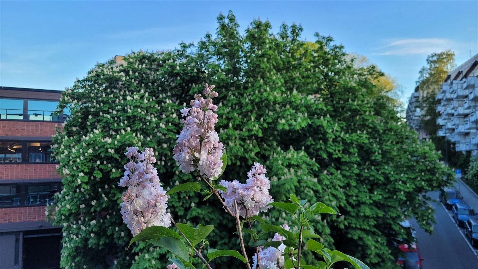 Selger opplyser at det er svært gode solforhold på balkongen. Fra rundt 1. september er det sol fra 11:00-17:00, mens om sommeren er det sol mesteparten av dagen. Galleribilde