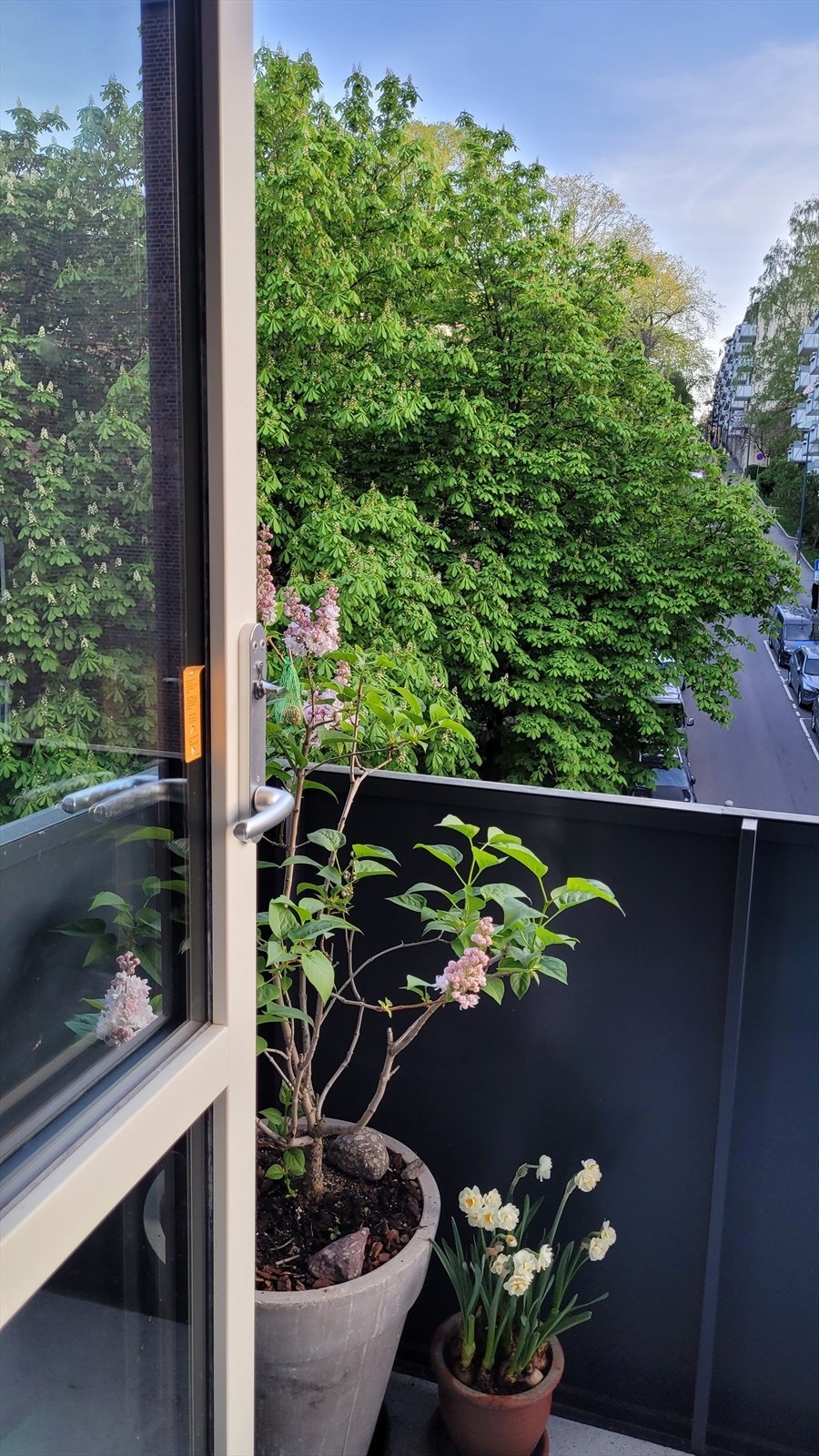 På balkongen er det grønt og hyggelig utsyn Galleribilde