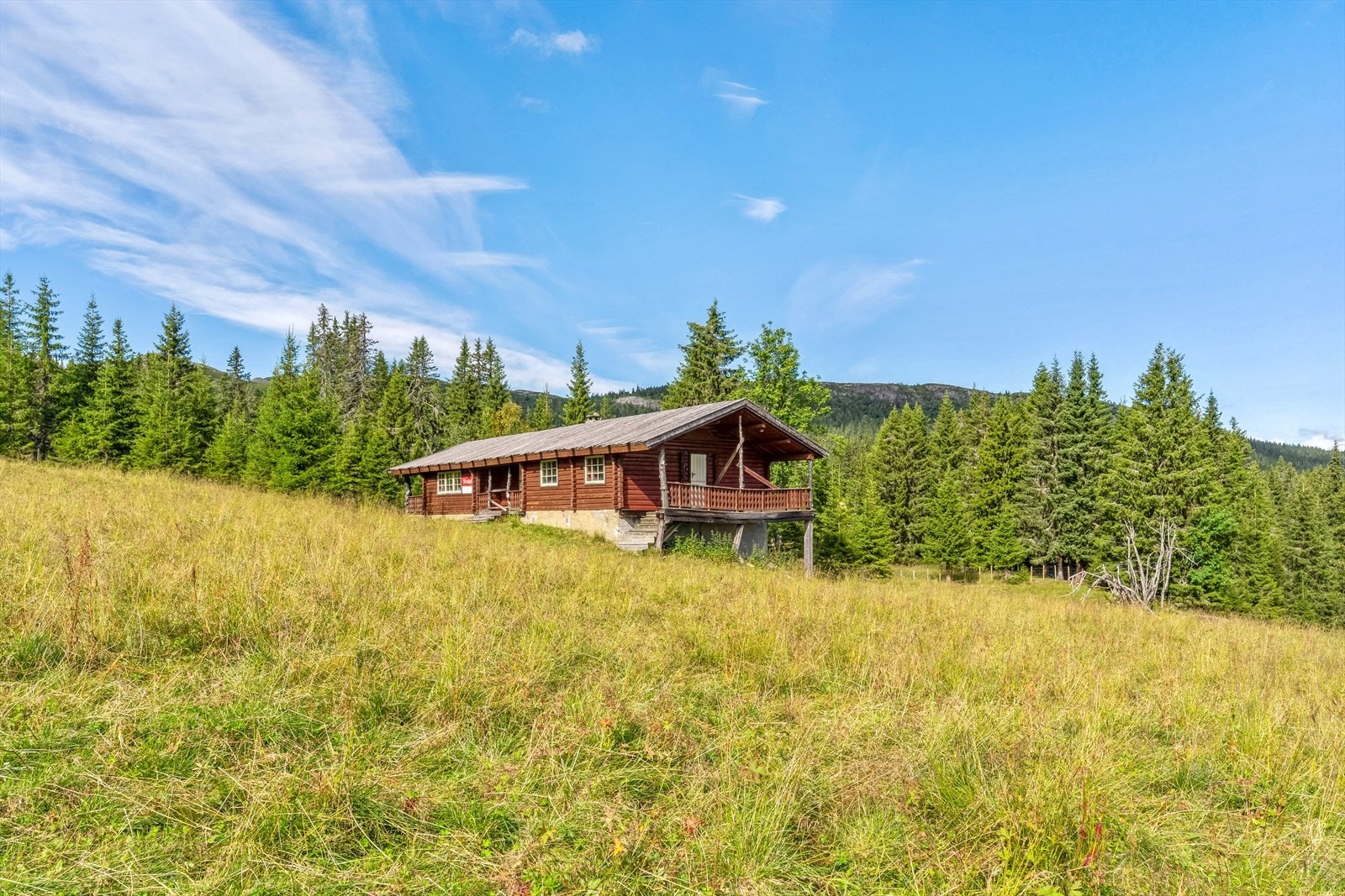 Tomten består av naturtomt med seterlandskap og skogbunn. Galleribilde