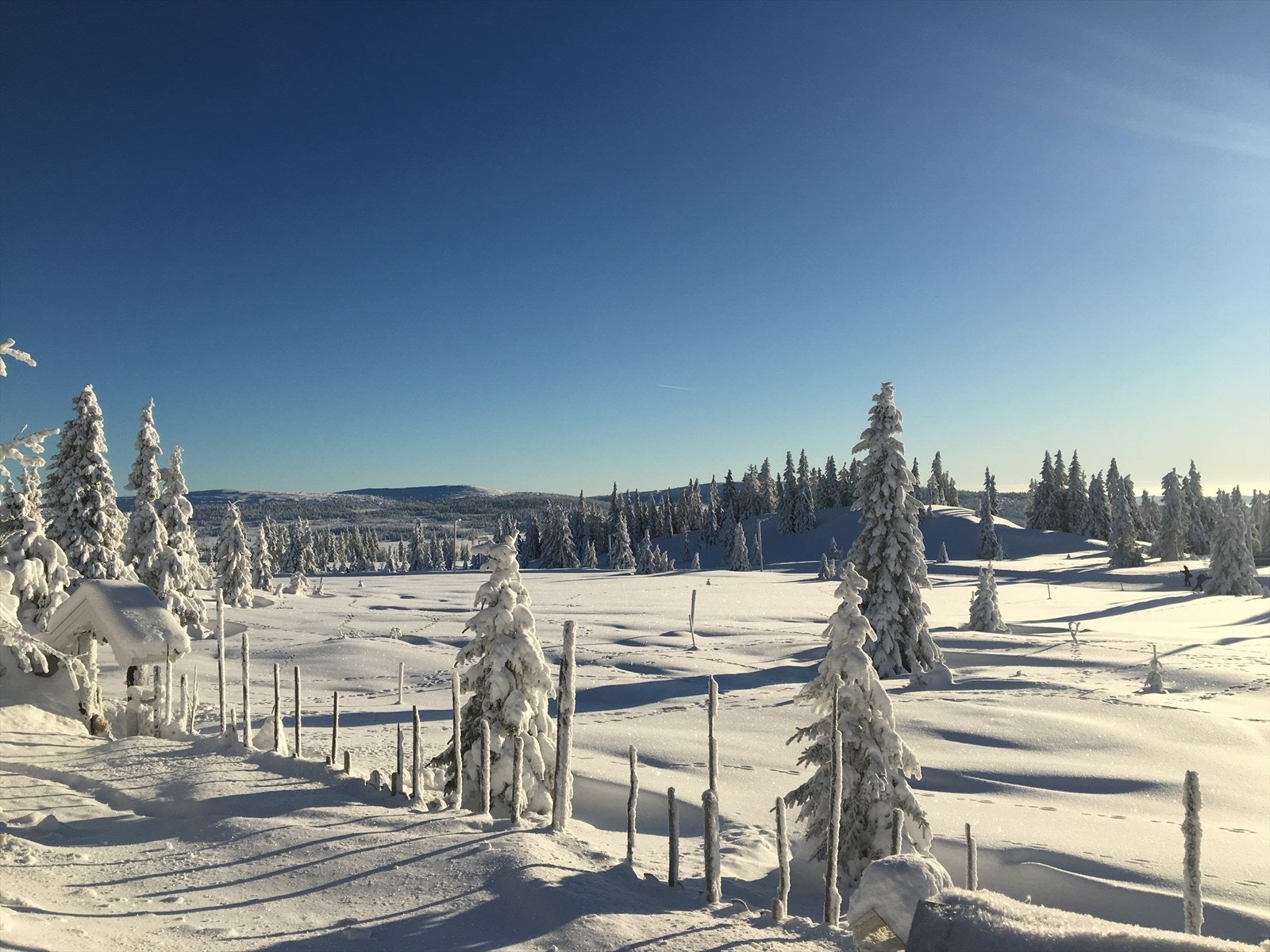 Flotte omgivelser til alle årstider. En vakker vinterdag fra selgers kamerarull. Her sklir du rett ned i Sjusjøens fantastiske løypenett. Galleribilde